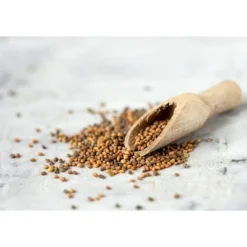 Organic Arugula Sprouting Seeds - By Food To Live -Grocery Sales GUEST 0c1f64b2 29a6 45b6 8867 40311b45f522