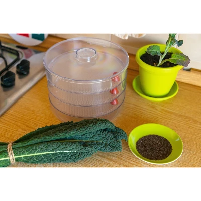 Kale Seeds For Sprouting - By Food To Live 6 Kale Seeds For Sprouting - By Food To Live - Image 4