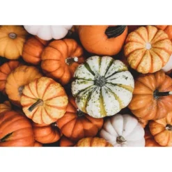 Organic Dry Roasted Pumpkin Seeds In Shell With Himalayan Salt - By Food To Live -Grocery Sales GUEST 29b222ea 13d0 41a2 ab02 b1270fff78cd