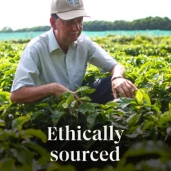 Starbucks Fall Blend Medium Roast Ground Coffee - 10oz -Grocery Sales GUEST 39cc592d 3617 4cb6 979b 1d422df1435a 3