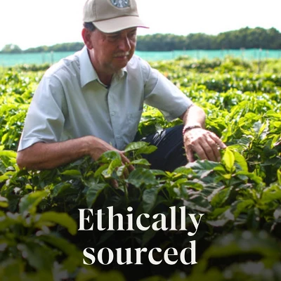 Starbucks Fall Blend Medium Roast Keurig K-Cup Coffee Pods - 22ct 9 Starbucks Fall Blend Medium Roast Keurig K-Cup Coffee Pods - 22ct - Image 7