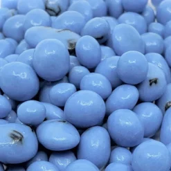 Greek Yogurt Covered Blueberries By It's Delish -Grocery Sales GUEST 64018692 8dbe 4750 83be 2f26e96c8630