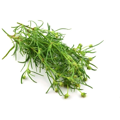 Organic Whole Psyllium Seeds - By Food To Live 7 Organic Whole Psyllium Seeds - By Food To Live - Image 5