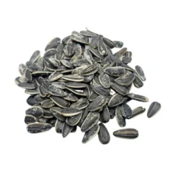 Hill's 12 Oz Half Salt Sunflower Seeds - Pack Of 3 -Grocery Sales GUEST 71fedeca 6c10 4ee3 b902 a9e0f6dad40f