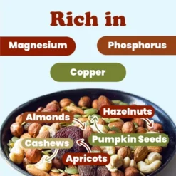 Organic Active Life Trail Mix — Raw And Non-GMO Snack Mix Contains Cashews, Pumpkin Seeds, Apricots, Hazelnuts, Almonds. Vegan, Kosher, Bulk -Grocery Sales GUEST 73ffeec3 d5ab 421c 8b66 3a021364245d