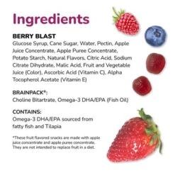 Brainiac Kids Fruit Snacks With Omega-3s Berry Blast - 12.4oz/20ct -Grocery Sales GUEST 838ac3a8 2520 4912 bef6 9521f277e748