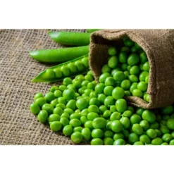 Green Split Peas - By Food To Live -Grocery Sales GUEST b27d5b42 0d7d 42ae 966d 9ff76596aa41