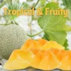 Dried Cantaloupe Chunks By It’s Delish