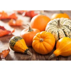 Organic Raw Pumpkin Seeds In Shell - By Food To Live -Grocery Sales GUEST c5a4e848 6a4c 4df7 bf7d 203e3ed228c2