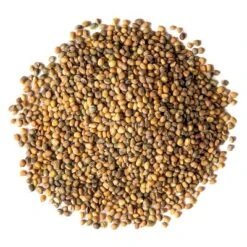 Organic Arugula Sprouting Seeds - By Food To Live -Grocery Sales GUEST c9ec8816 e3e2 450a a897 ace0c96f02f5