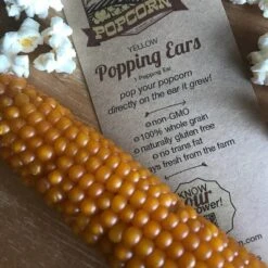 Free Day Popping Ear Non-GMO Yellow Un-Popped Popcorn - Pack Of 6 - Popcorn On The Cob -Grocery Sales GUEST f5766cb5 e56e 458a 846d d489e8b10bc6